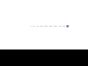www.syrek-group.com